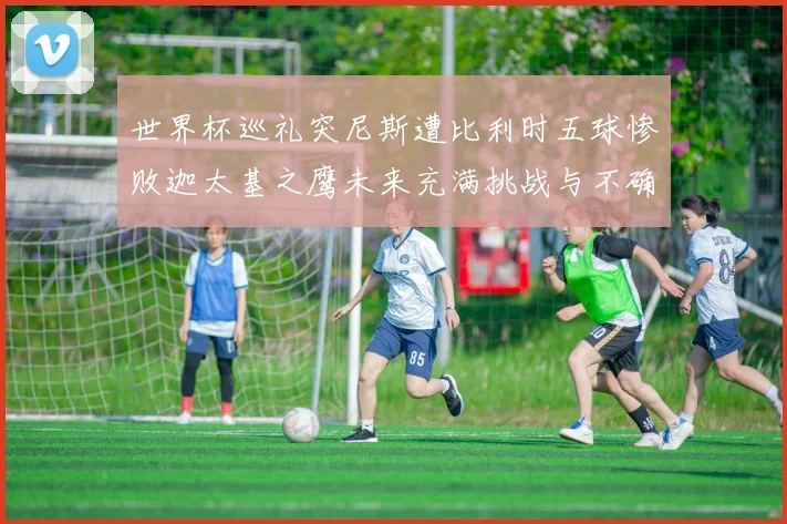 世界杯巡礼突尼斯遭比利时五球惨败迦太基之鹰未来充满挑战与不确定性