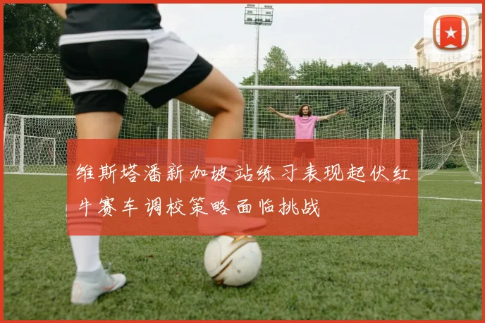 维斯塔潘新加坡站练习表现起伏红牛赛车调校策略面临挑战