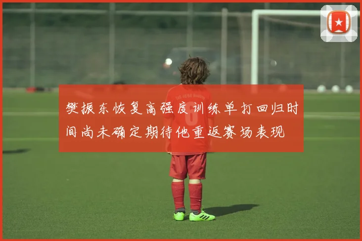樊振东恢复高强度训练单打回归时间尚未确定期待他重返赛场表现