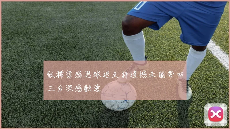 张稀哲感恩球迷支持遗憾未能带回三分深感歉意